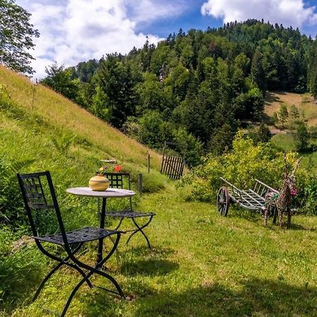 Ferienwohnung Teich 11 Gutenbach 外观 照片