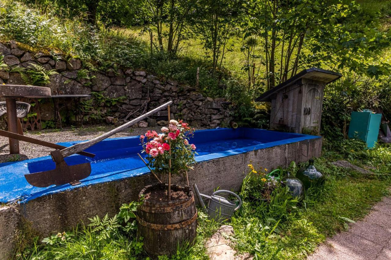 Ferienwohnung Teich 11 Gutenbach 外观 照片